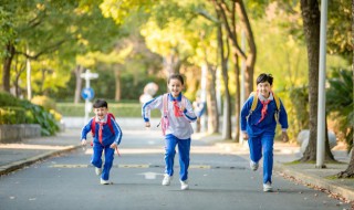小学生交通规则10条（小学生交通规则口诀）