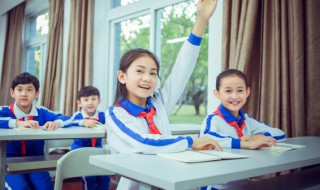 小学生数学知识（小学生数学知识手抄报）