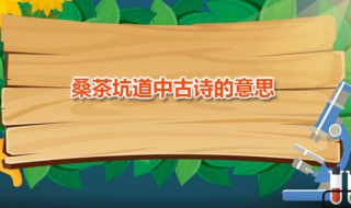 桑茶坑道中古诗的意思（桑茶坑道中古诗的意思翻译）