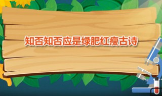 知否知否应是绿肥红瘦古诗（知否知否应是绿肥红瘦古诗表达情感）