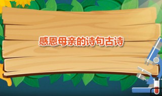 感恩母亲的诗句古诗 感恩母亲的诗句古诗词简单