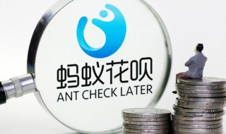 花呗多少支付分开通（花呗多少分开通花呗）