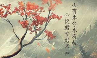 古诗词有哪些（夏季的古诗词有哪些）