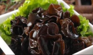 泡好的黑木隔夜可吃吗（泡好的黑木隔夜可吃吗有毒吗）