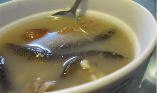 泥鳅和排骨怎么做 泥鳅排骨汤的做法和功效