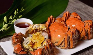 河蟹吃什么东西（河蟹吃什么东西作为食物的）