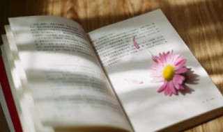 卜算子苏轼 卜算子苏轼黄州定慧院寓居作朗诵