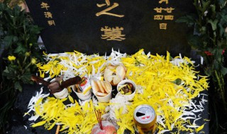 坟地种树有什么讲究 坟地栽树正确方位图解