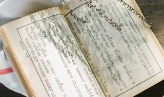 薇字五行属什么（五行属什么怎么看）