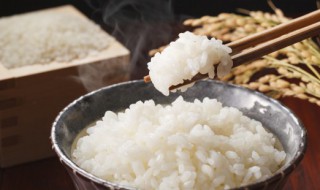 煮米饭有什么技巧 煮米饭的诀窍