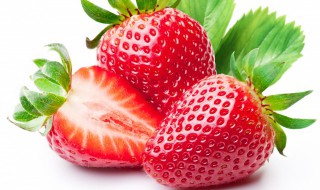 奶油草莓种植技巧 奶油草莓种植技巧图解