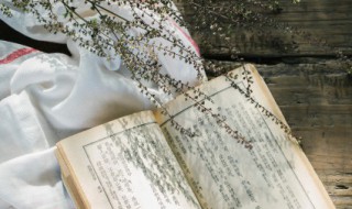 温和的反义词是什么（温和的反义词是什么词）