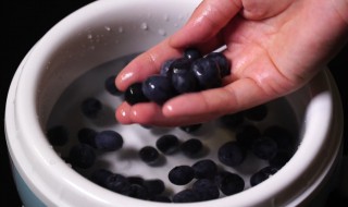 新鲜蓝莓怎么洗最干净 新鲜蓝莓怎么洗最干净视频