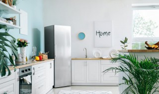 如何选购家用冰箱 2022最建议买的三款冰箱