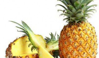 凤梨菠萝的区别 凤梨与菠萝的区别在哪图片