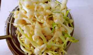 野蒜的腌制方法（野蒜的腌制方法和配料）