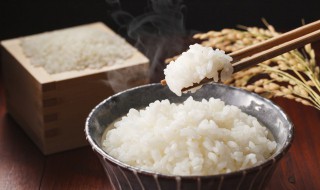 蒸米饭要放多少水 蒸米饭放多少水和米比例