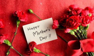 母亲节送花送多少朵合适寓意是什么 母亲节送母亲花送几朵