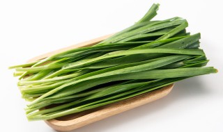 韭菜什么时候移栽最合适（韭菜移栽时间方法和注意事项）
