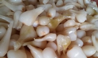 腌荞头的做法大全 腌荞头的做法大全图解