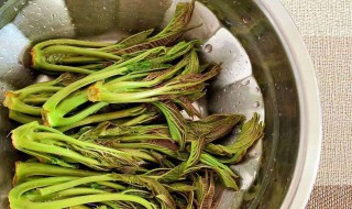 腌香椿需不需要焯水（腌香椿需不需要焯水才能吃）