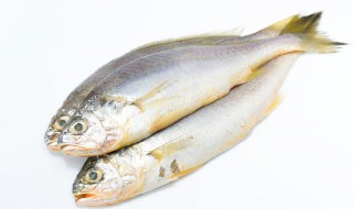 草鱼营养价值及功效与作用 草鱼营养价值及功效与作用及禁忌