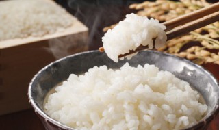 大米饭米和水的比例 米饭水怎么用手指量