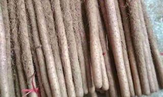 铁棍山药和淮山药的区别和作用（铁棍山药和淮山药的区别）