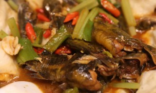 昂翅鱼的做法大全（昂刺鱼怎么烧）
