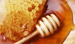 蜂皇浆和蜂王浆的区别? 蜂皇浆和蜂王浆是一种吗