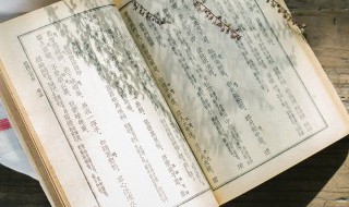 面朝大海春暖花开全文 面朝大海春暖花开的原文