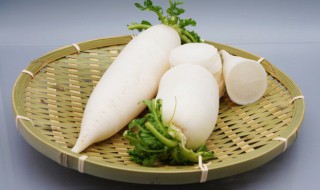 白萝卜炖鸭子的做法（白萝卜炖鸭子的做法视频）