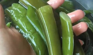 如何挑选海白菜（海白菜怎么挑选）