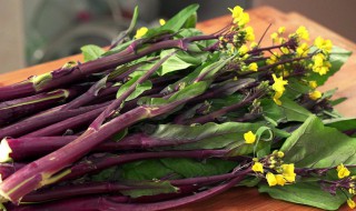 紫菜苔的做法 湖北紫菜苔的做法