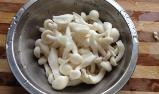 白玉菇和海鲜菇的区别 白玉菇和海鲜菇的区别图片