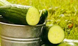 为什么吃黄瓜嘴涩 为什么吃黄瓜嘴里发涩