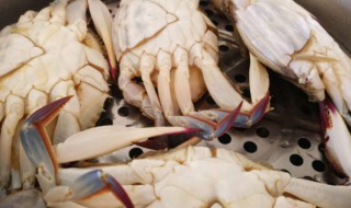 冻螃蟹直接蒸么还是先解冻 冻的螃蟹蒸多长时间才能吃