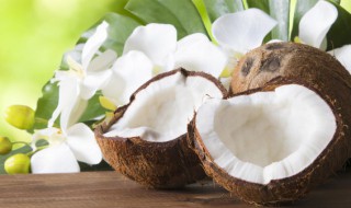 青椰子和老椰子的区别 为什么专家不建议吃椰子油