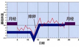 怎样计算排卵期 怎样计算排卵期一般排卵期是几天