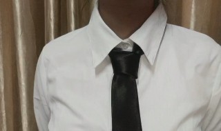 怎样打领带 怎样打领带图解
