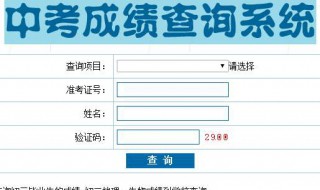 怎样查中考成绩 大学生怎样查中考成绩