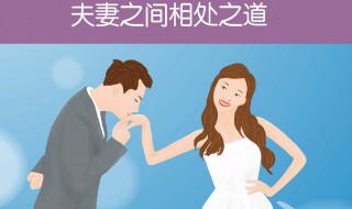 夫妻相处之道 夫妻相处之道经典语录句句精辟