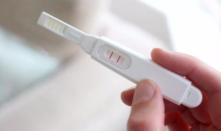 验孕纸多久能测出来 验孕纸多久能测出来怀孕了