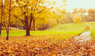 描写秋天的景色 描写秋天的景色的四字词语