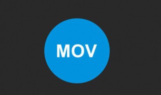 mov格式是什么 mov格式是什么文件类型