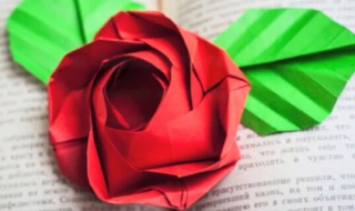 纸折玫瑰花的方法 纸折玫瑰花教程视频教程