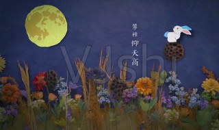 中秋节的诗句古诗大全 中秋节的诗句古诗大全三年级