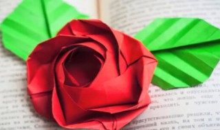 怎样折玫瑰花 怎样折玫瑰花用卫生纸