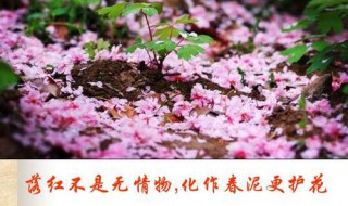 落红不是无情物化作春泥更护花赏析 化作春泥更护花现在比喻什么