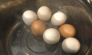 开水煮鸡蛋（开水煮鸡蛋还是冷水煮鸡蛋好）